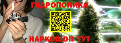 стаф Ипатово